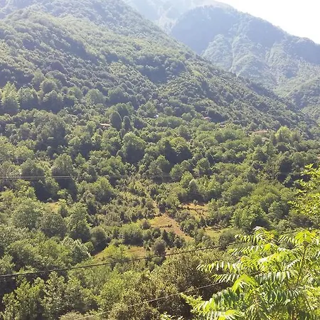 招待所 Alkiviades