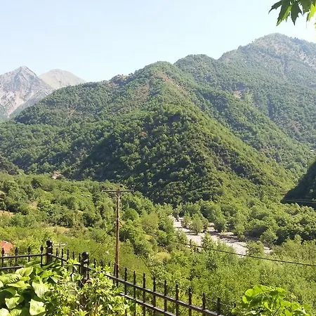 招待所 Alkiviades Kali Komi