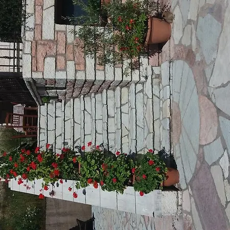 Alkiviades Kali Komi